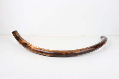 Restored woolly mammoth tusk