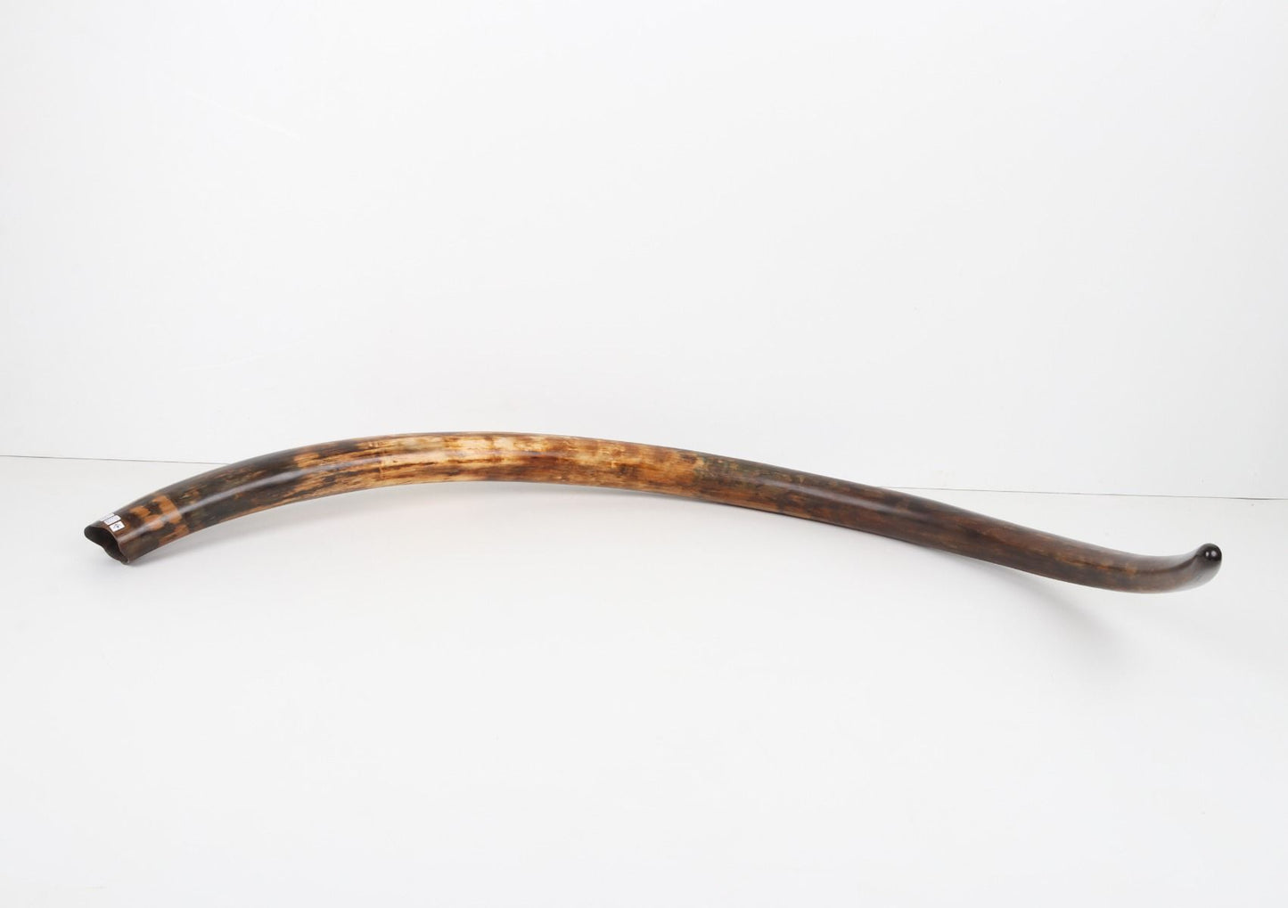 Restored woolly mammoth tusk