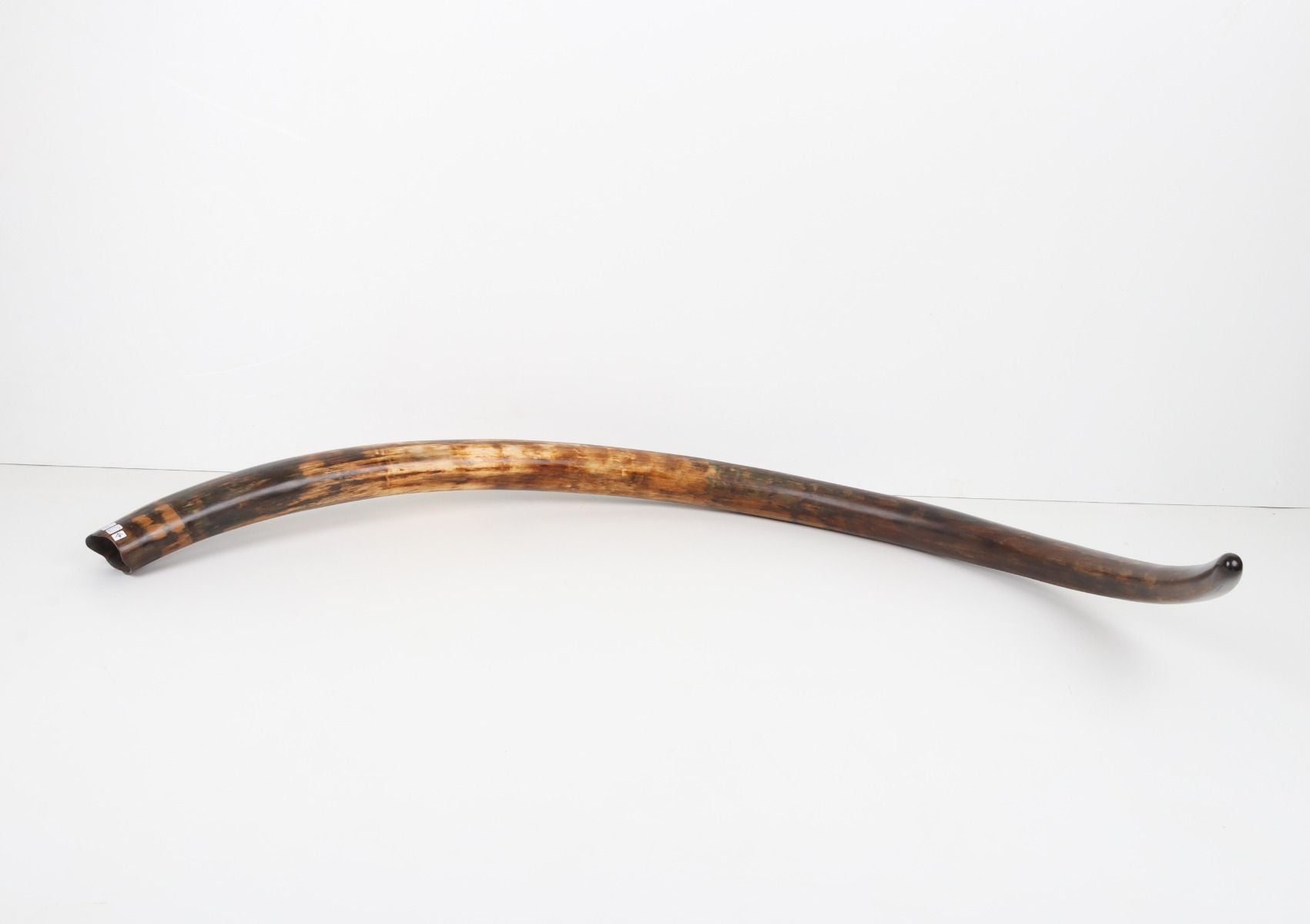 Restored woolly mammoth tusk