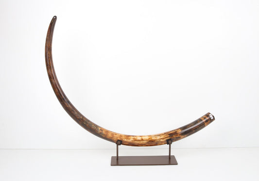 Restored woolly mammoth tusk