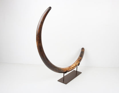 Restored woolly mammoth tusk