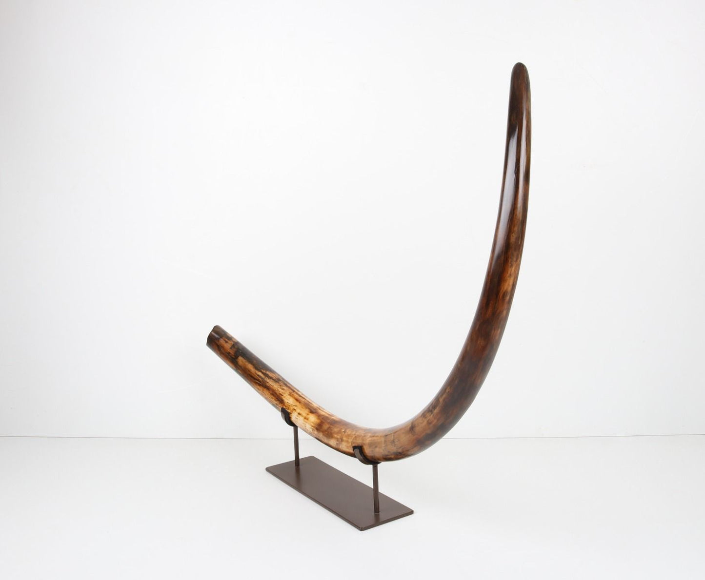 Restored woolly mammoth tusk