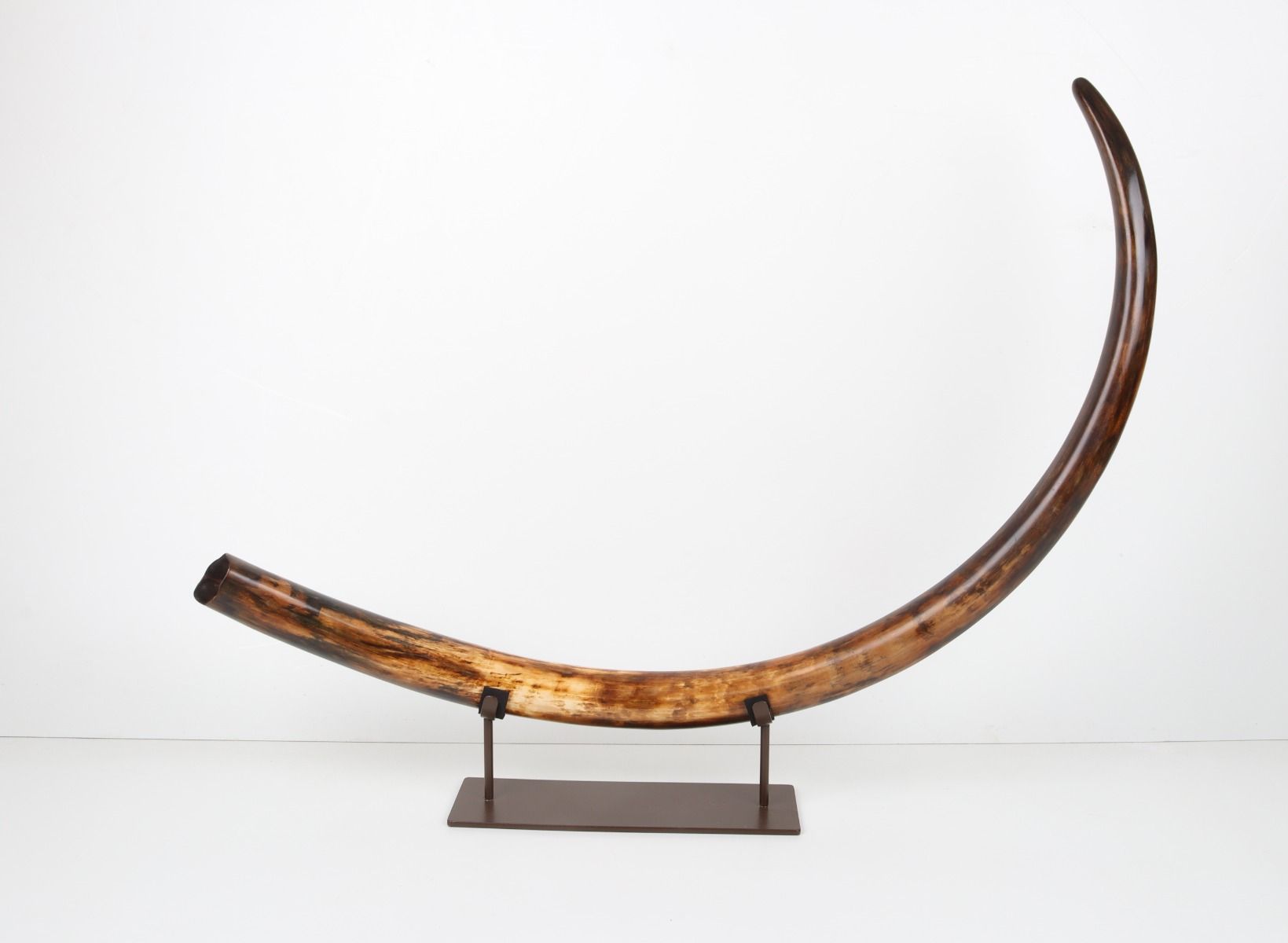 Restored woolly mammoth tusk