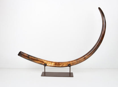 Restored woolly mammoth tusk