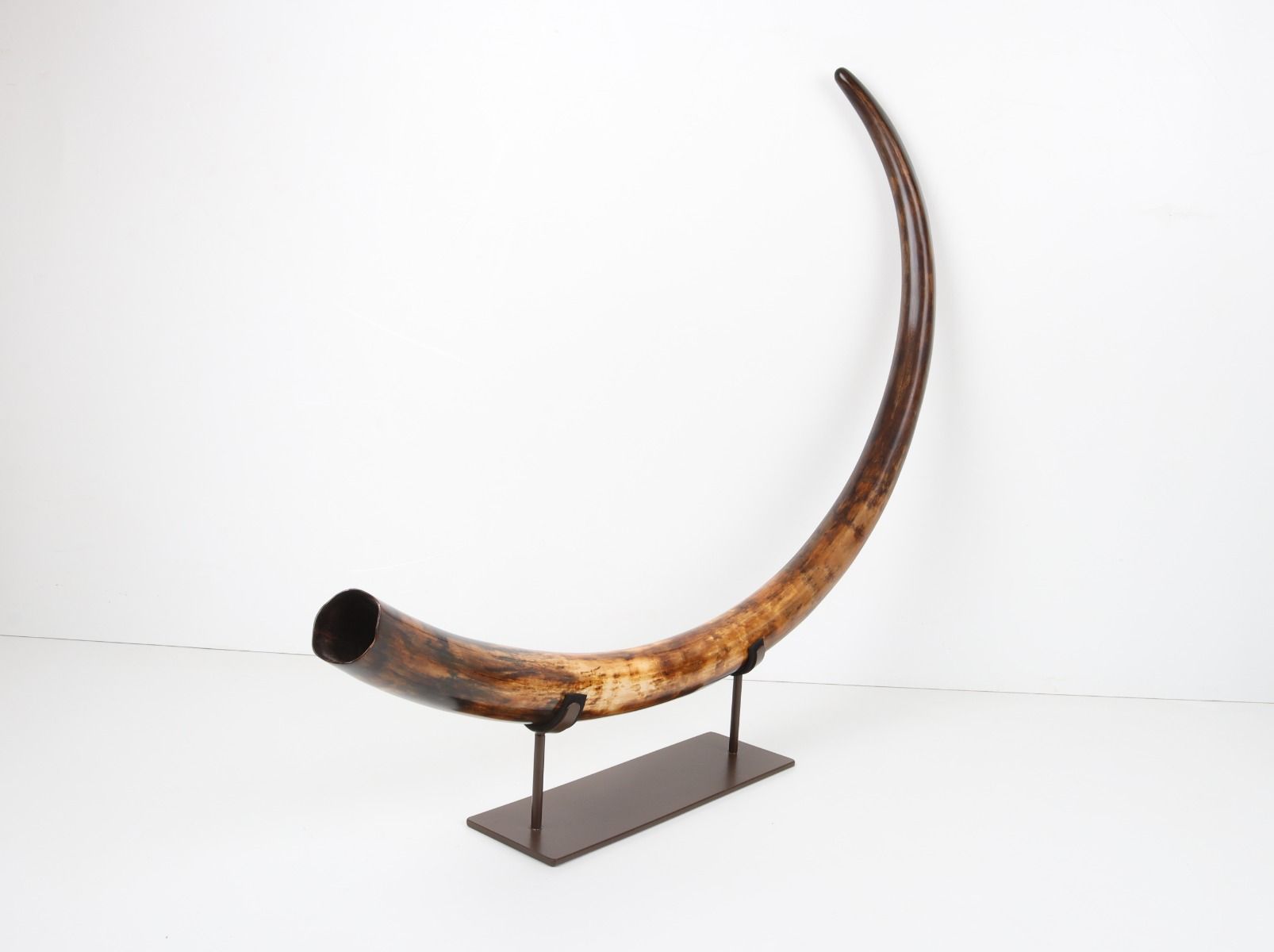 Restored woolly mammoth tusk