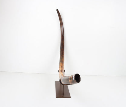 Restored woolly mammoth tusk