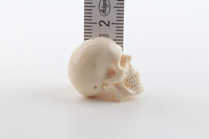 Hand carved mammoth ivory skull