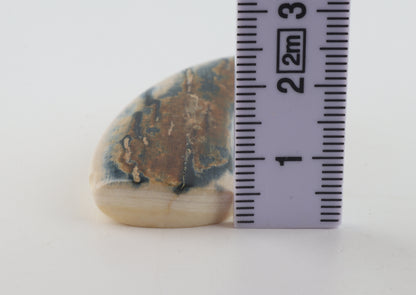 Carved mammoth ivory segment