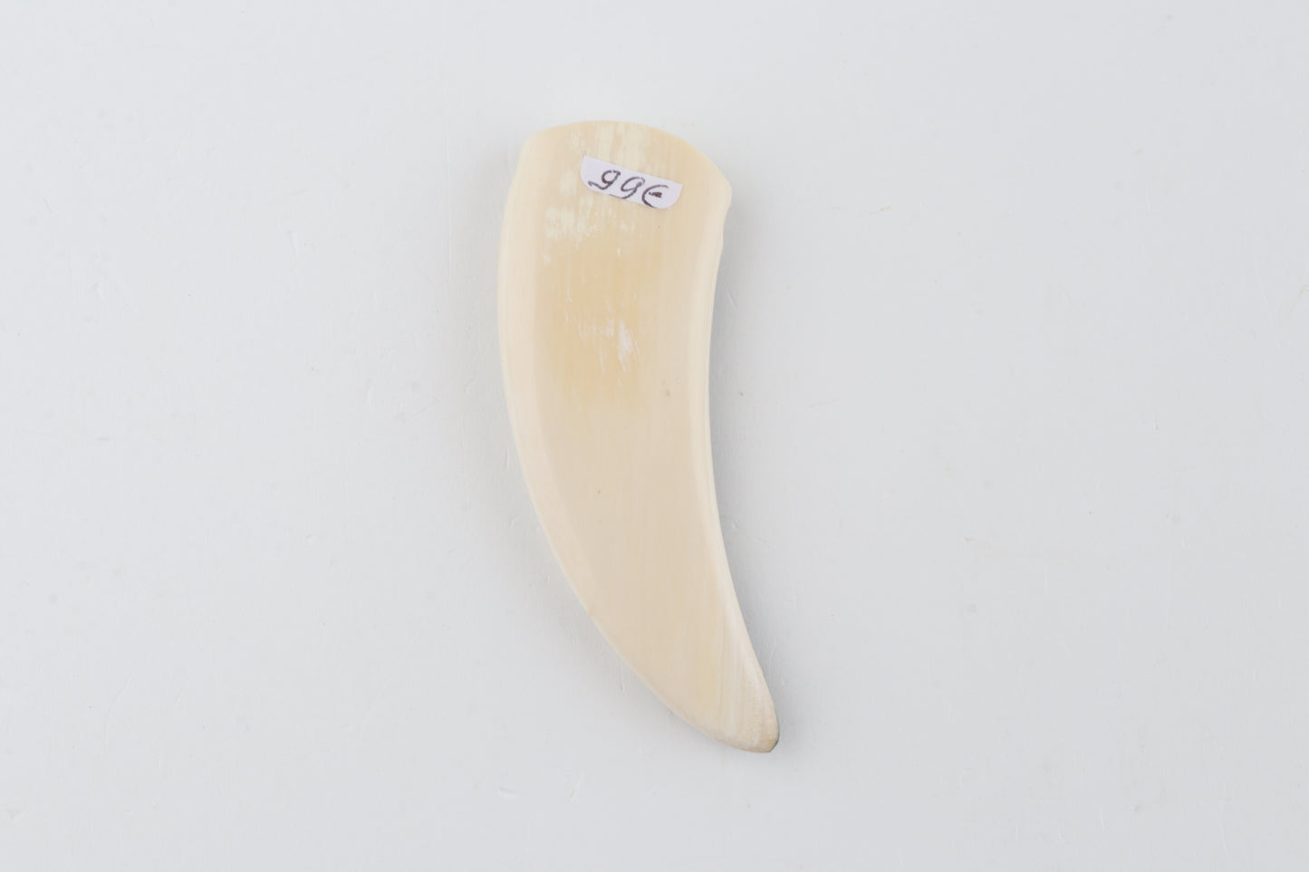 Carved mammoth ivory segment