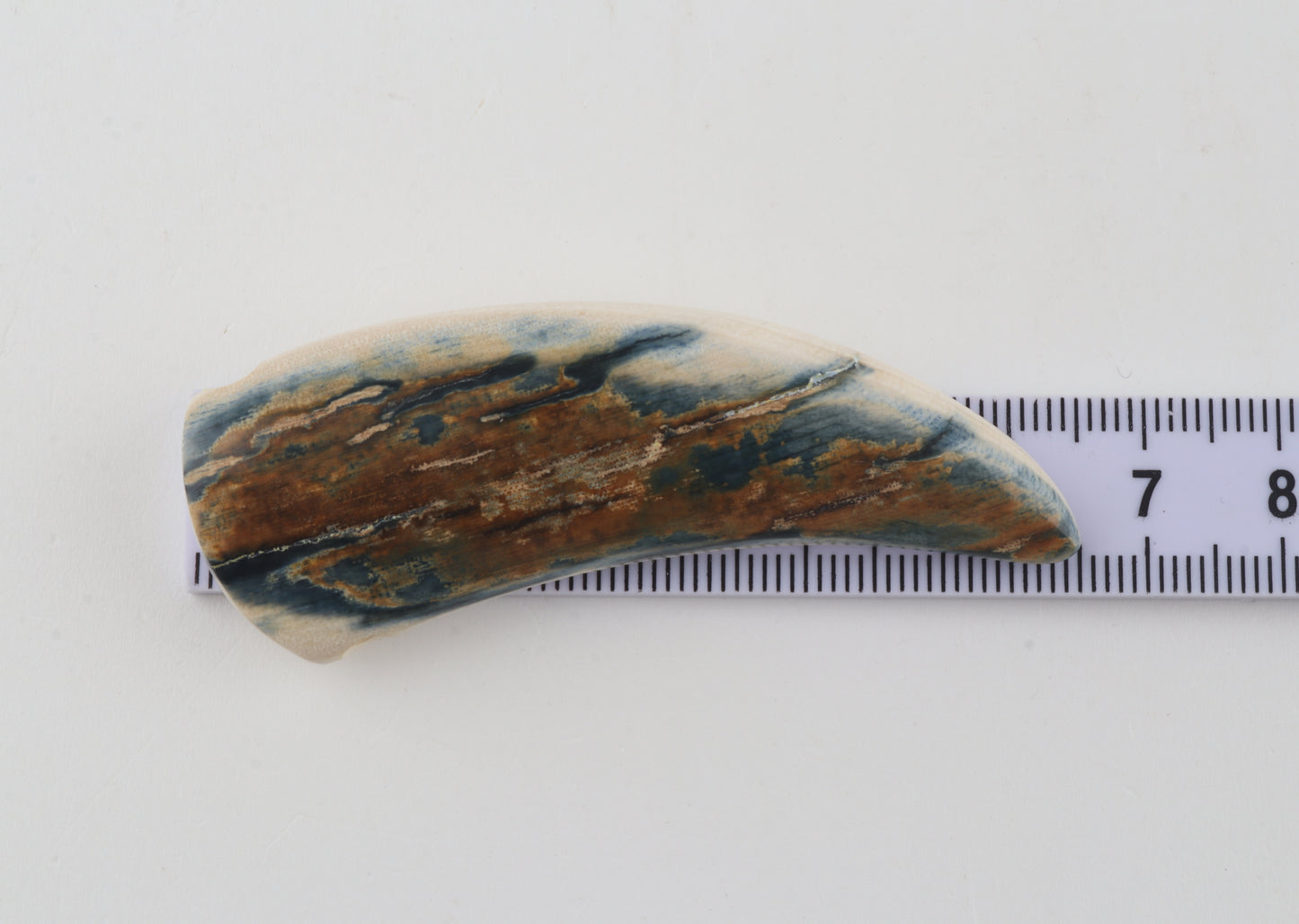 Carved mammoth ivory segment