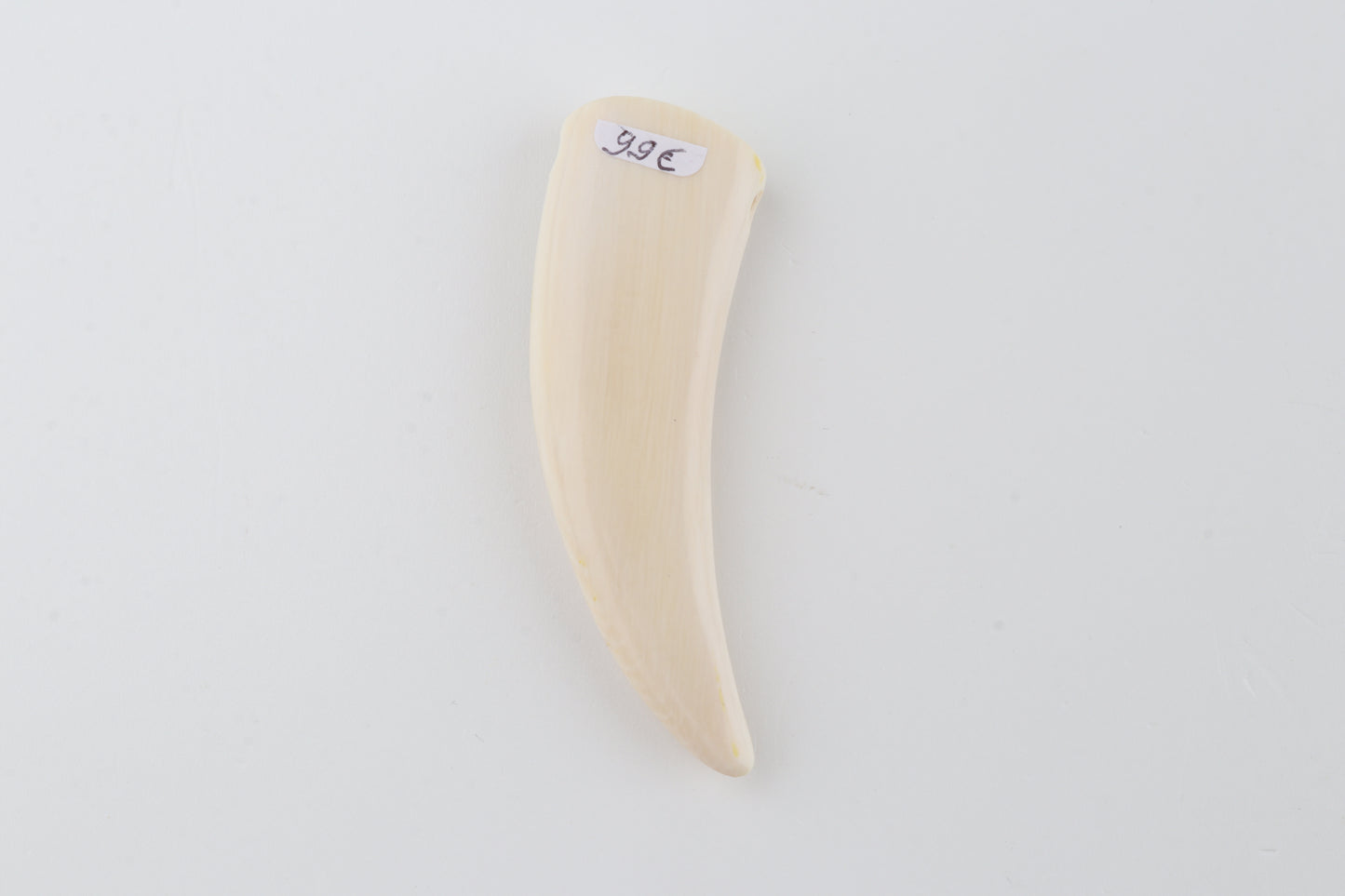 Carved mammoth ivory pendant