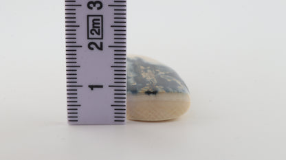 Carved mammoth ivory pendant