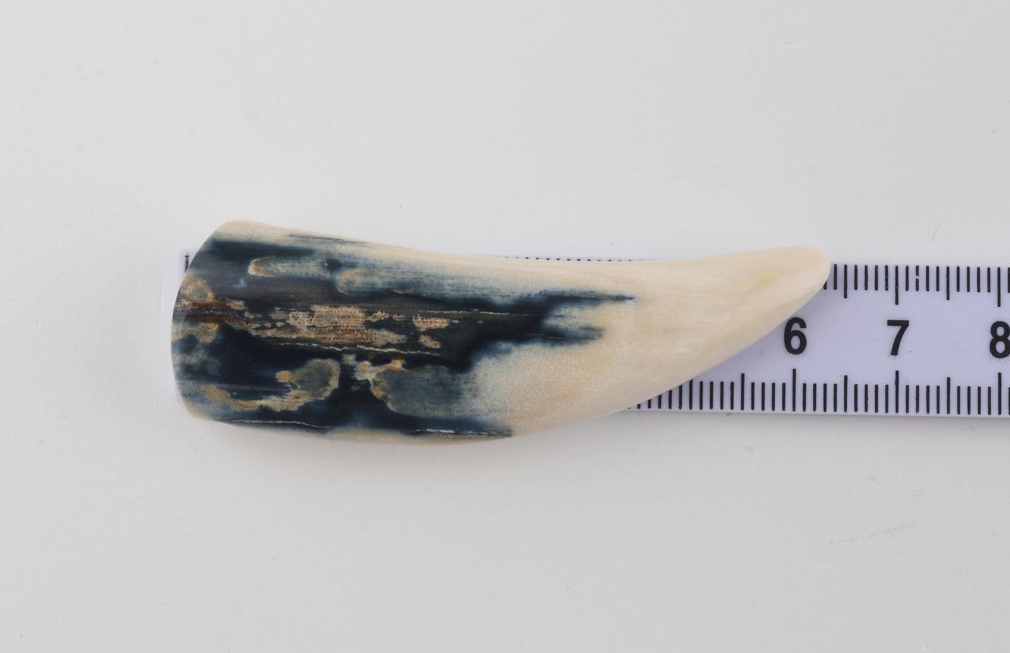 Carved mammoth ivory pendant