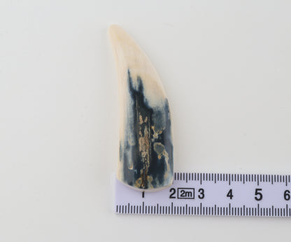 Carved mammoth ivory pendant
