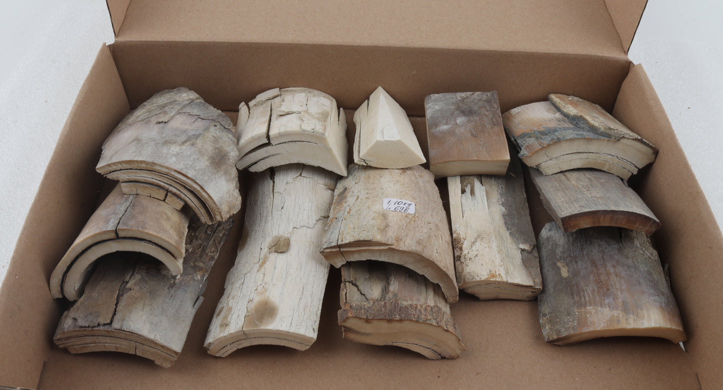 Untreated mammoth ivory pieces