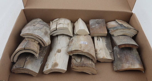 Untreated mammoth ivory pieces