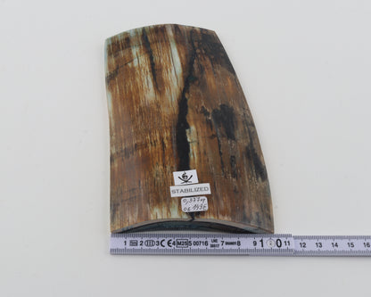 Stabilized mammoth ivory piece