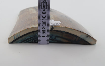 Stabilized mammoth ivory piece