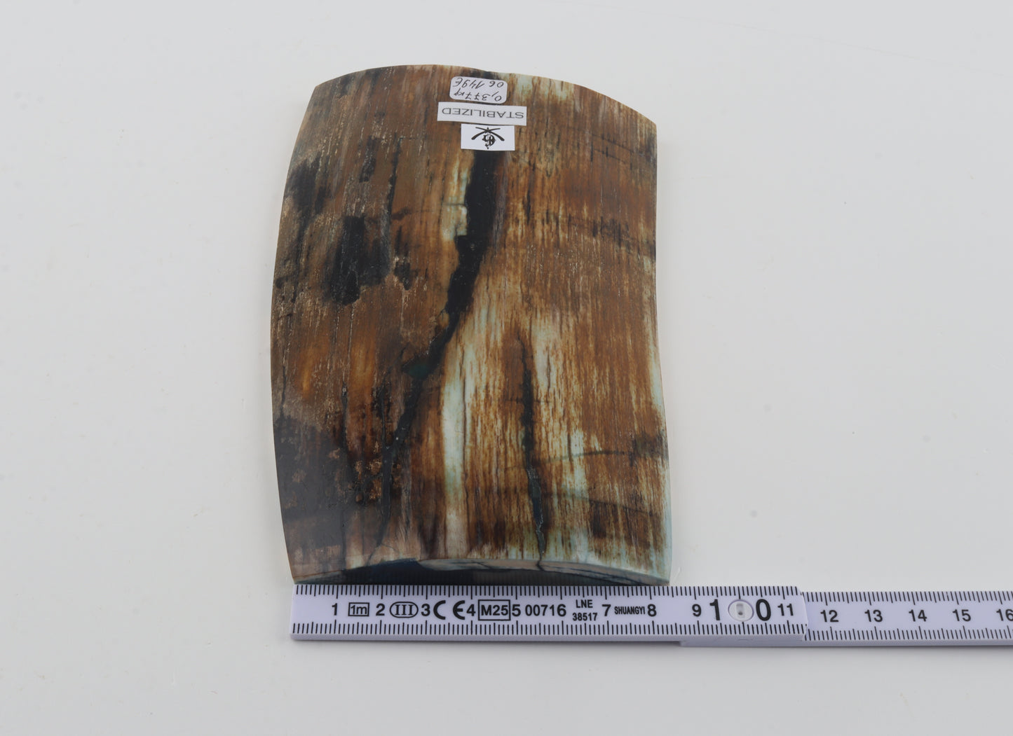 Stabilized mammoth ivory piece