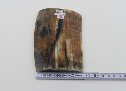 Stabilized mammoth ivory piece