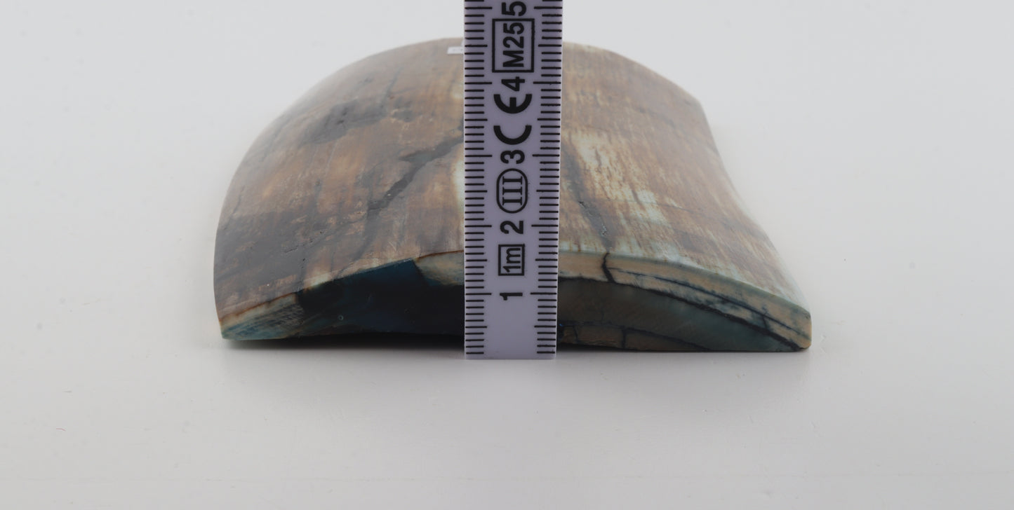 Stabilized mammoth ivory piece