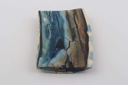 Stabilized mammoth ivory piece