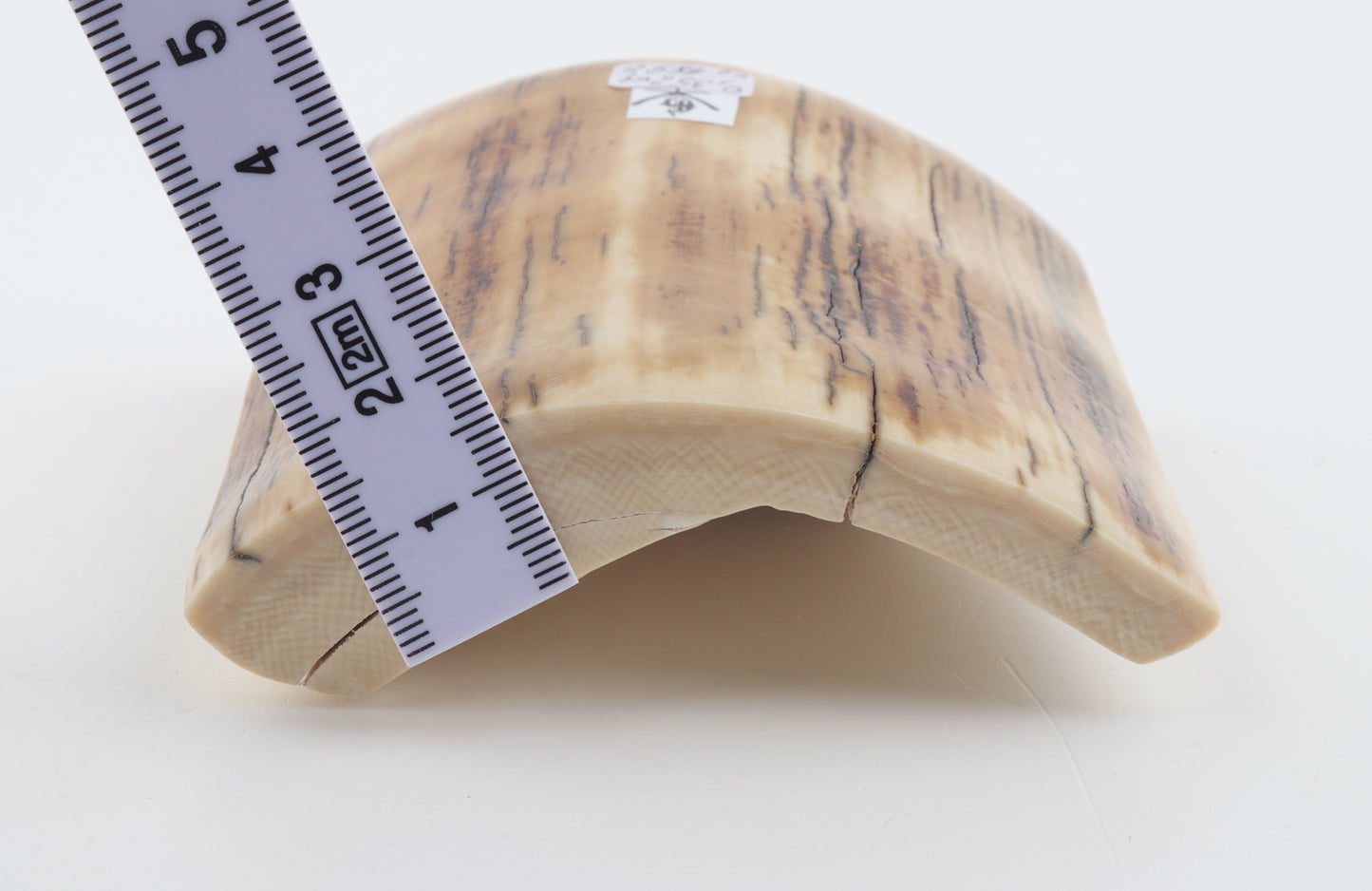 Natural mammoth ivory piece