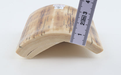 Natural mammoth ivory piece