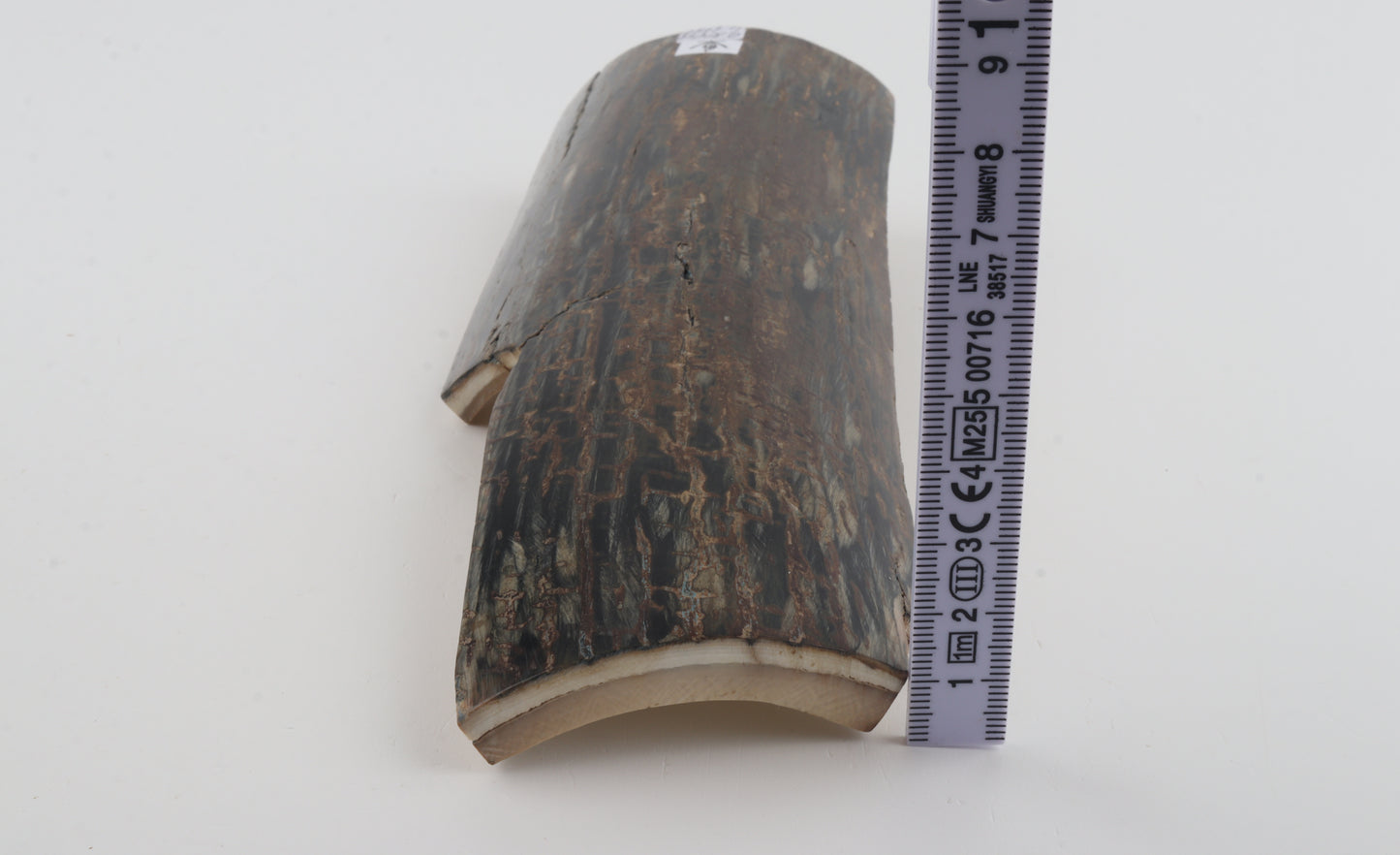 Brown-black mammoth bark
