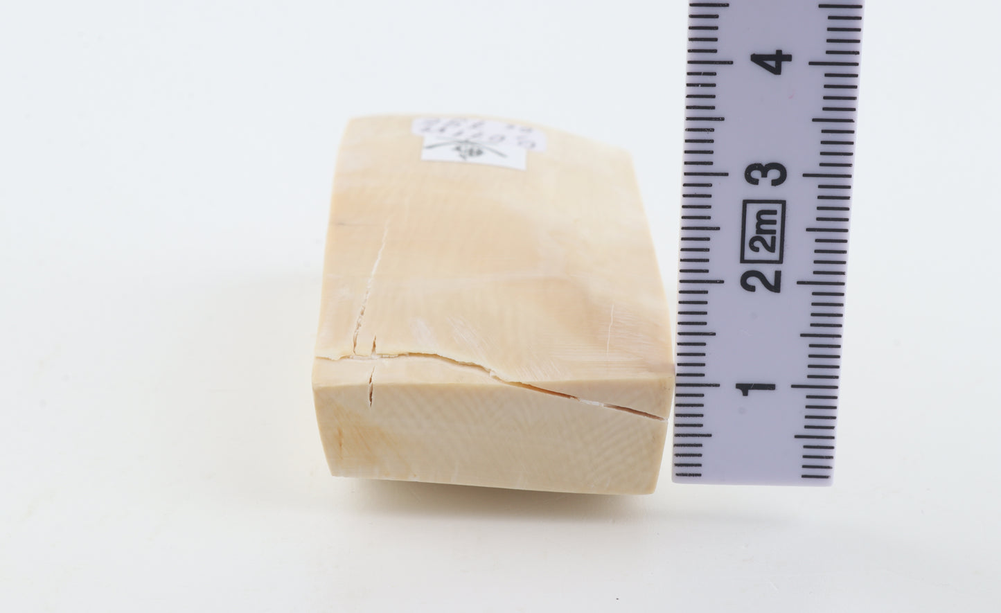 Natural mammoth ivory piece