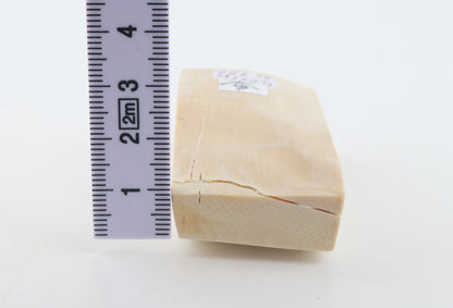 Natural mammoth ivory piece