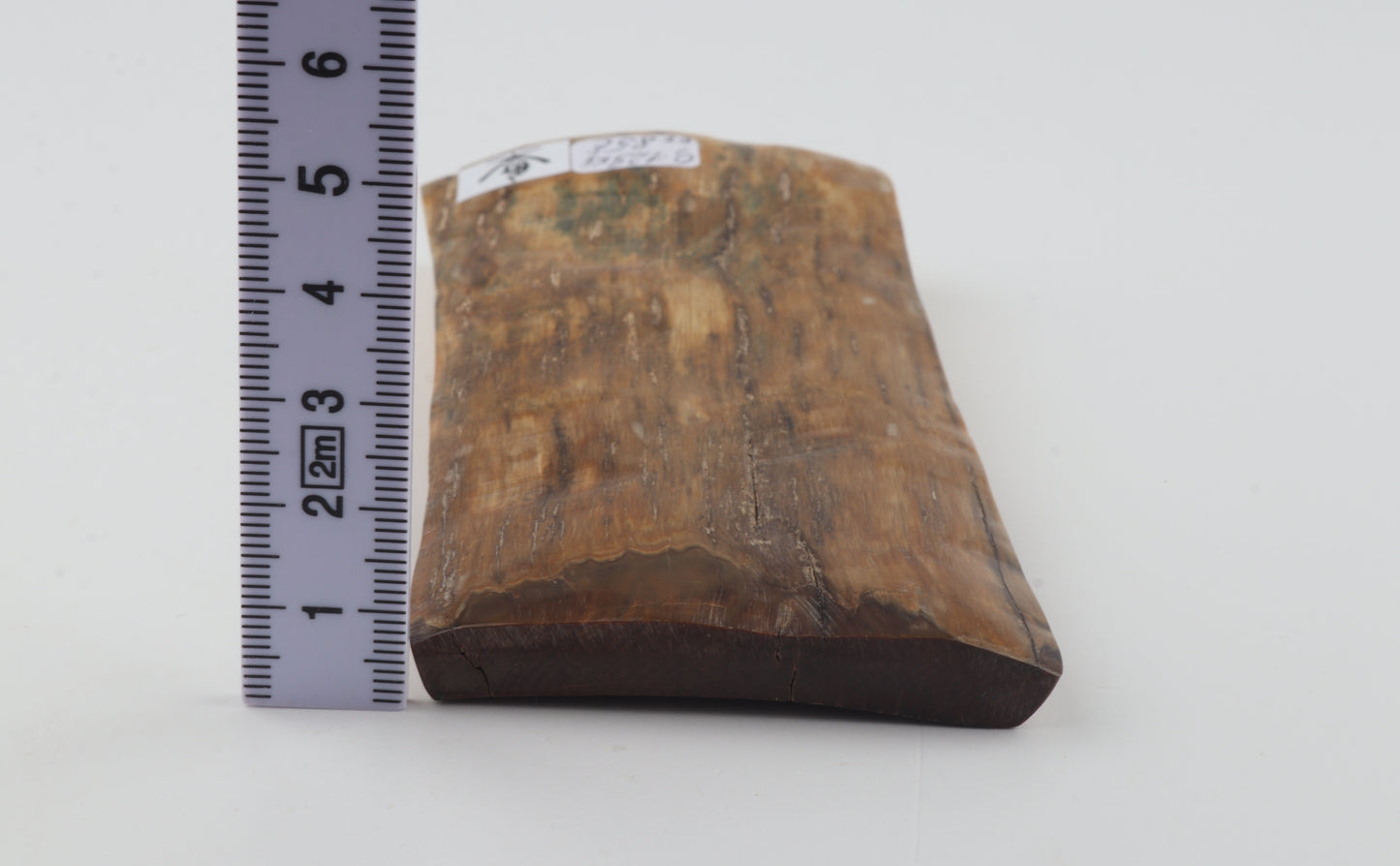 Mustard mammoth bark