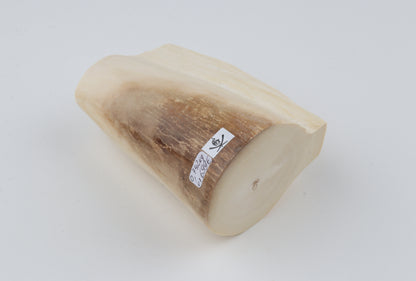 Natural mammoth tusk piece