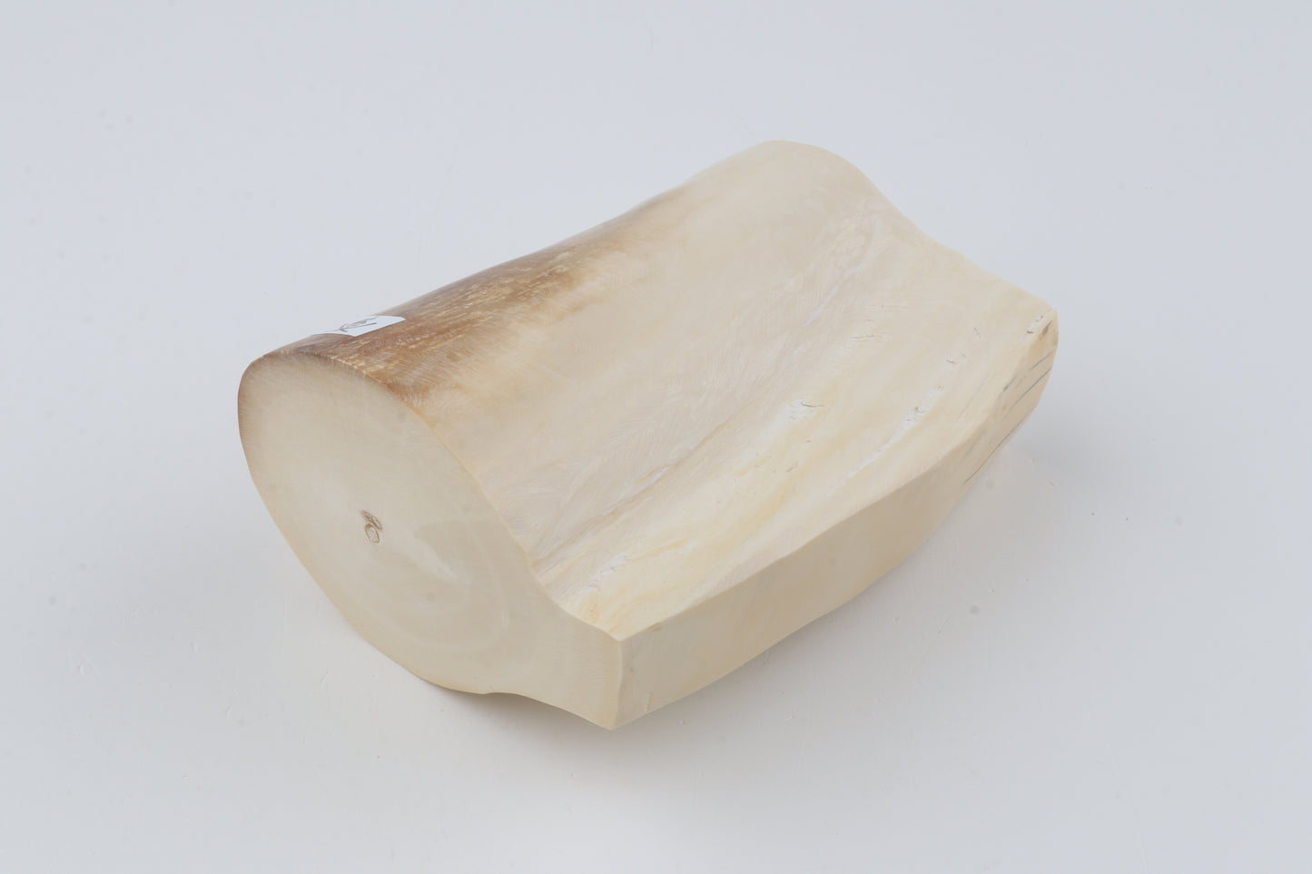 Natural mammoth tusk piece