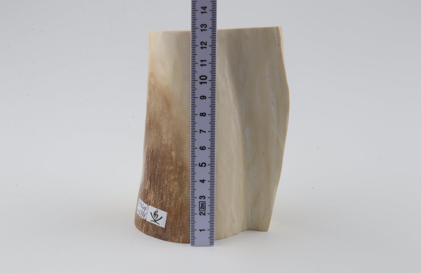 Natural mammoth tusk piece