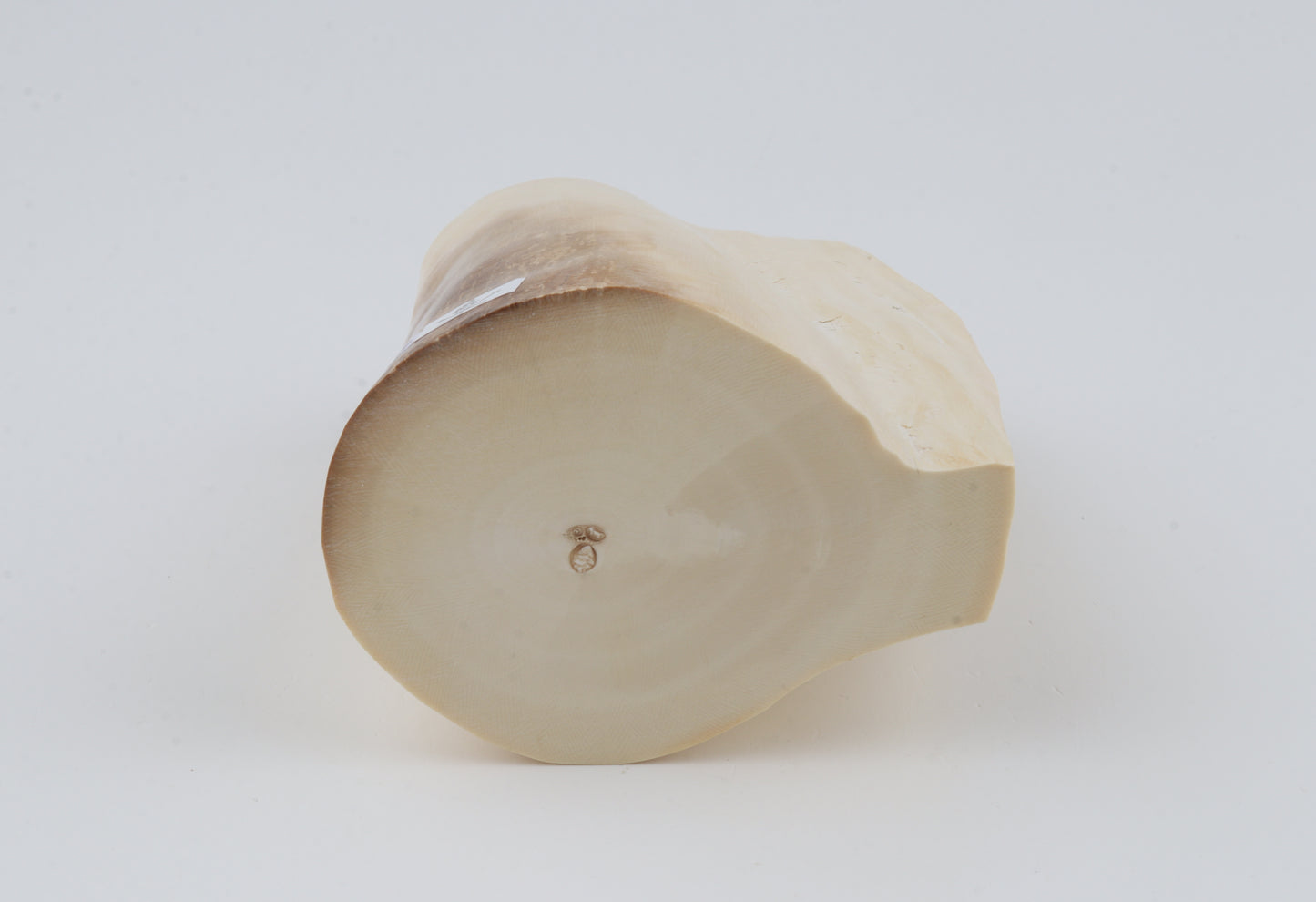 Natural mammoth tusk piece