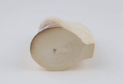Natural mammoth tusk piece