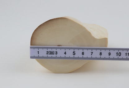 Natural mammoth tusk piece
