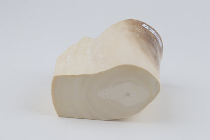 Natural mammoth tusk piece