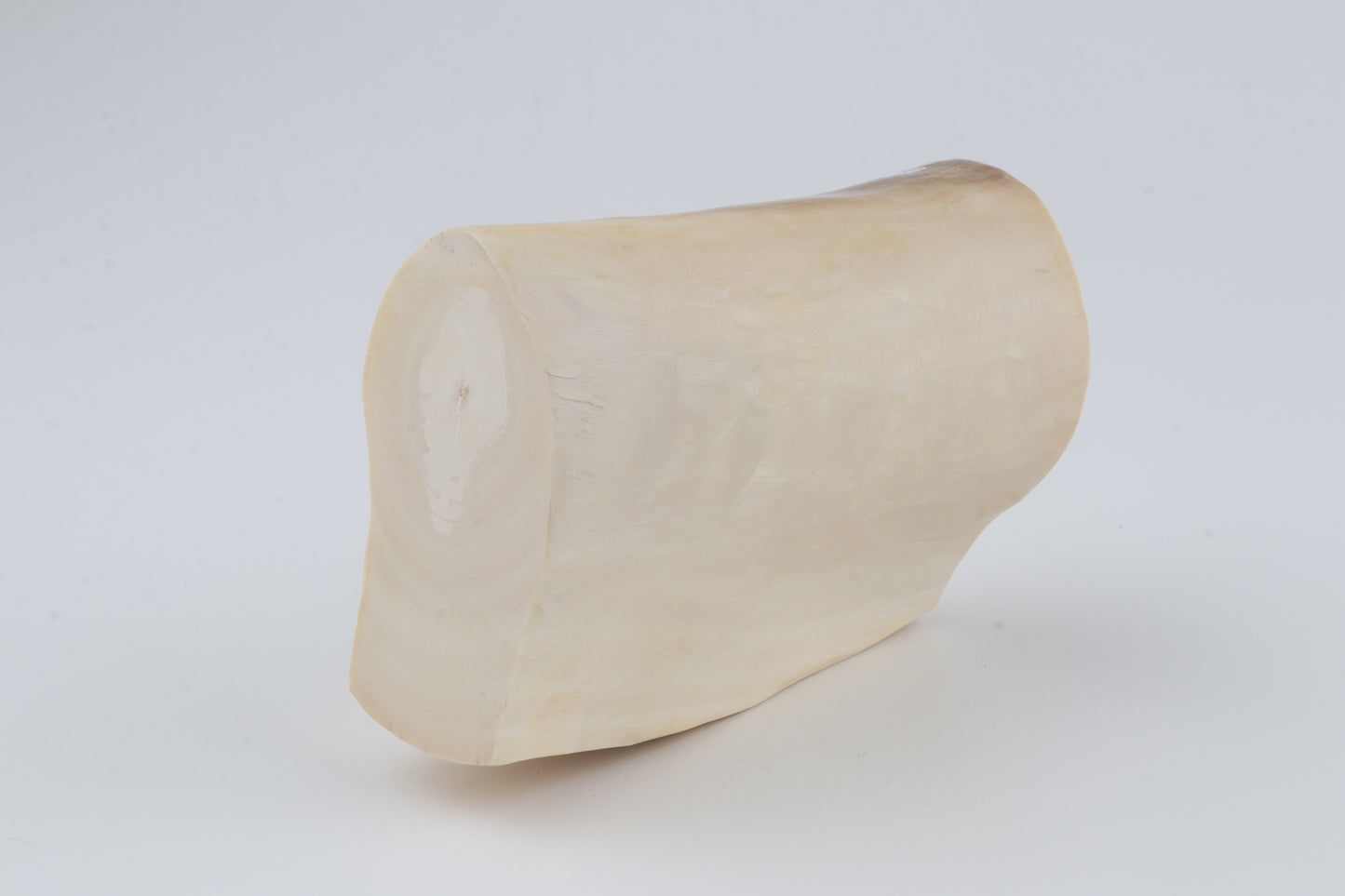 Natural mammoth tusk piece
