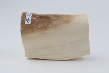 Natural mammoth tusk piece