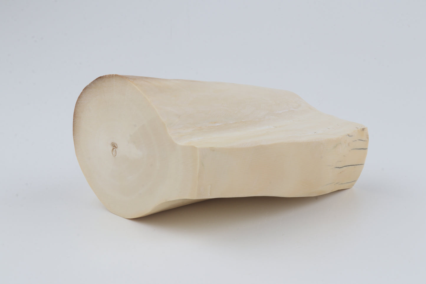 Natural mammoth tusk piece