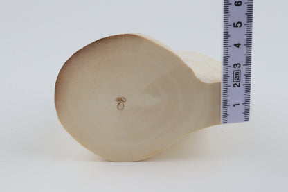 Natural mammoth tusk piece