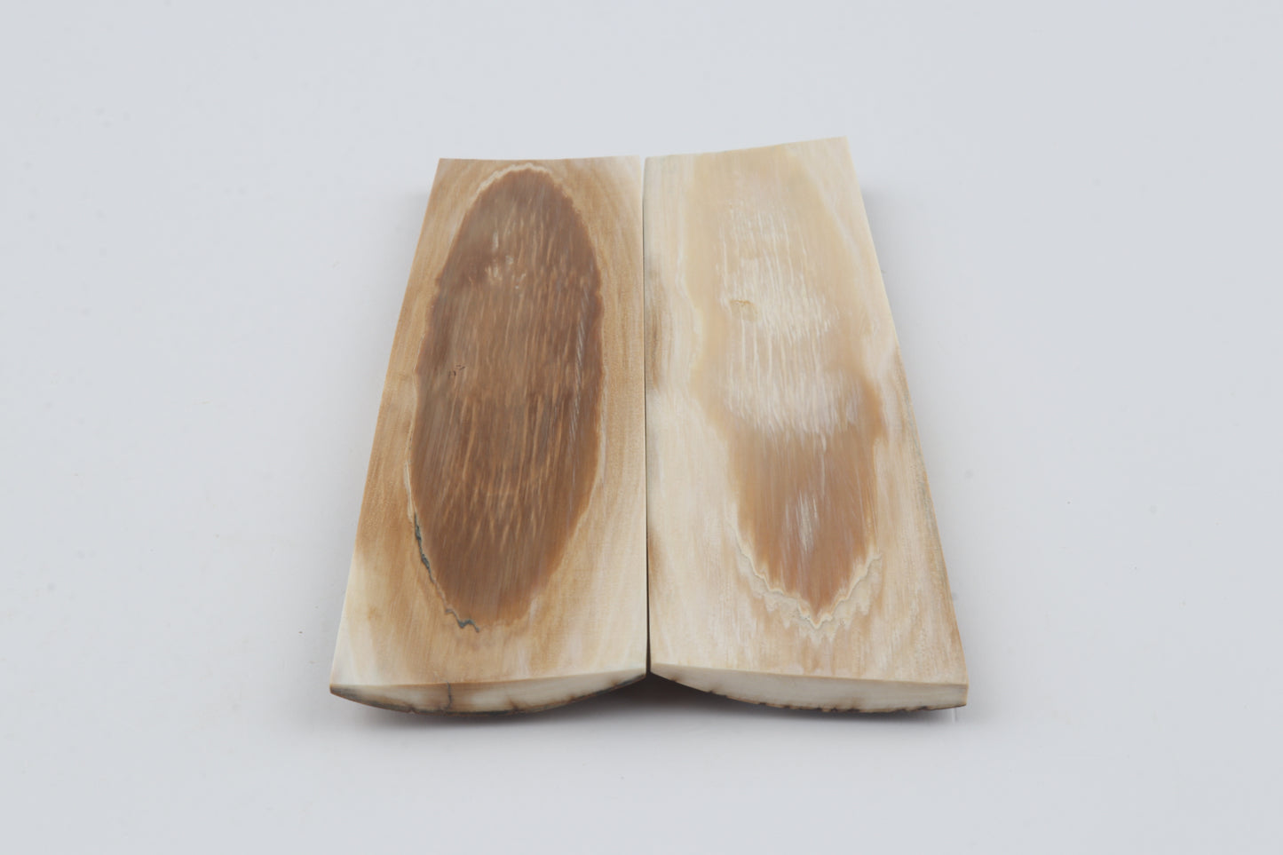 Natural mammoth bark scales
