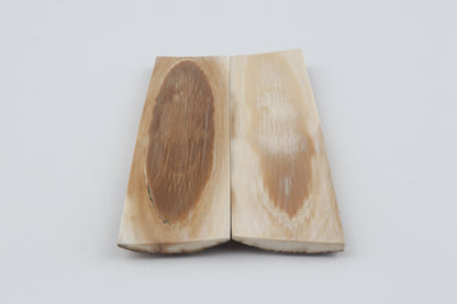 Natural mammoth bark scales