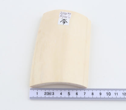 White mammoth ivory segment