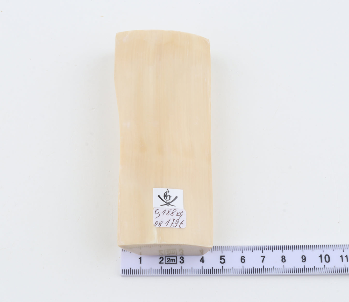 White mammoth ivory segment