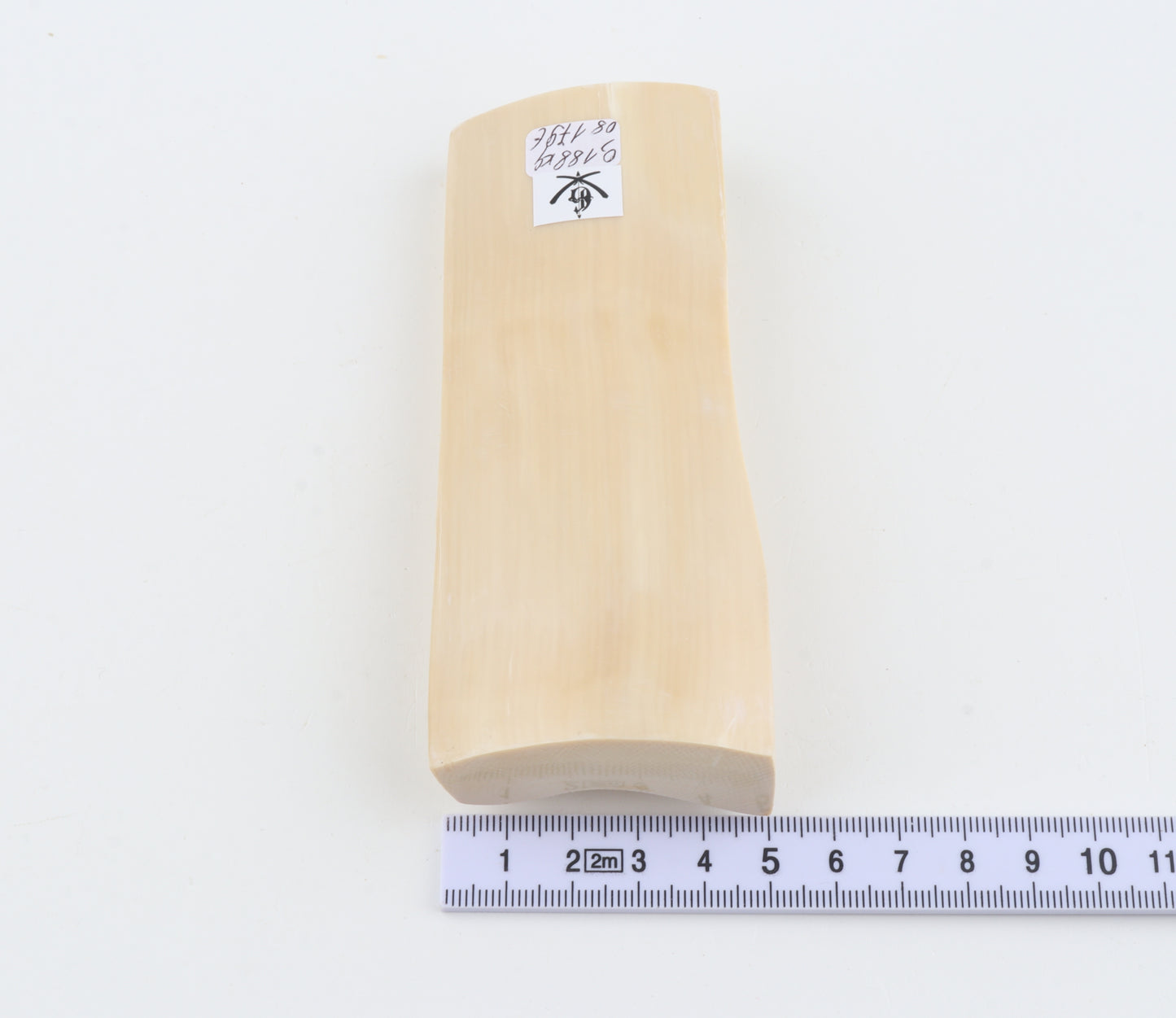 White mammoth ivory segment