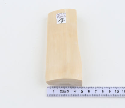White mammoth ivory segment