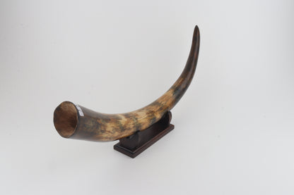 Restored mammoth tusk